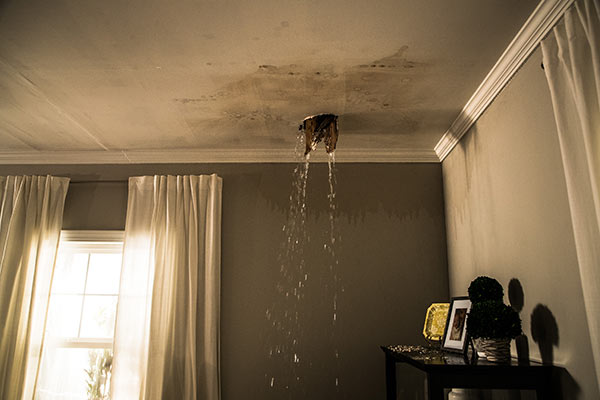 Water from the Ceiling